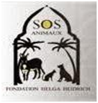 S.O.S ANIMAUX EN DÉTRESSE