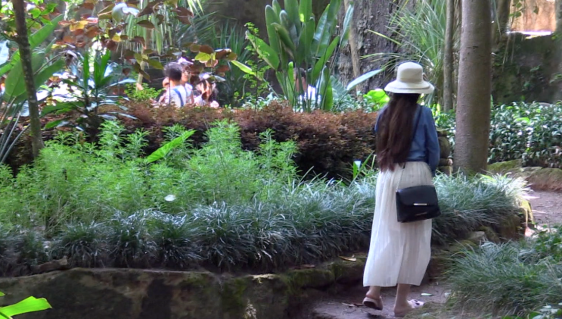 Les Jardins Exotiques, ce trésor de la nature caché à Bouknadel