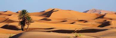 Découverte du désert marocain