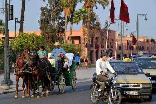 riad_marrakech_divers_6