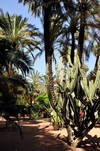 riad_marrakech_majorelle_1