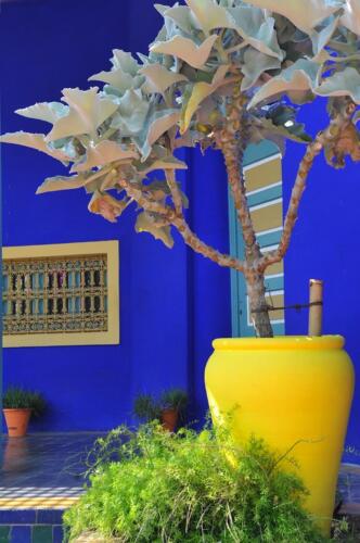 riad_marrakech_majorelle_11