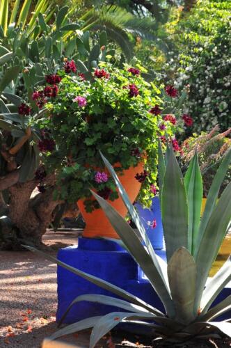 riad_marrakech_majorelle_15