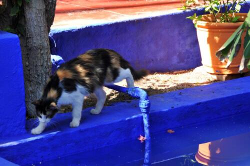 riad_marrakech_majorelle_20