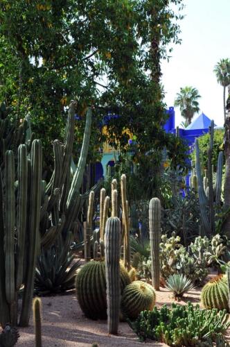 riad_marrakech_majorelle_22