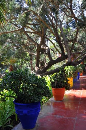 riad_marrakech_majorelle_3
