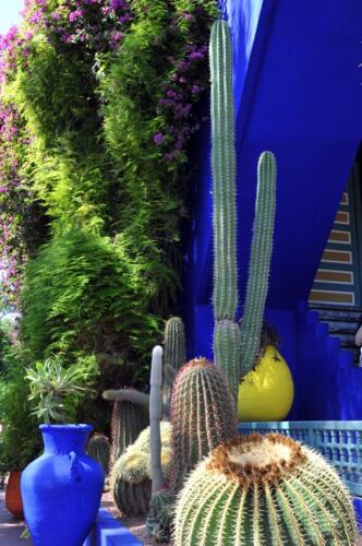 riad_marrakech_majorelle_4