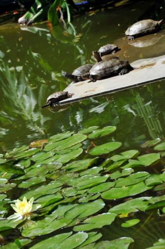 riad_marrakech_majorelle_5