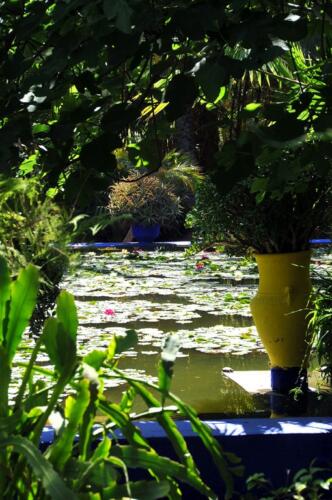 riad_marrakech_majorelle_9